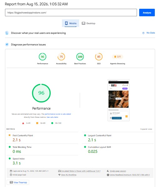 Big J's Showstoppin' Store mobile PageSpeed Insights evidence